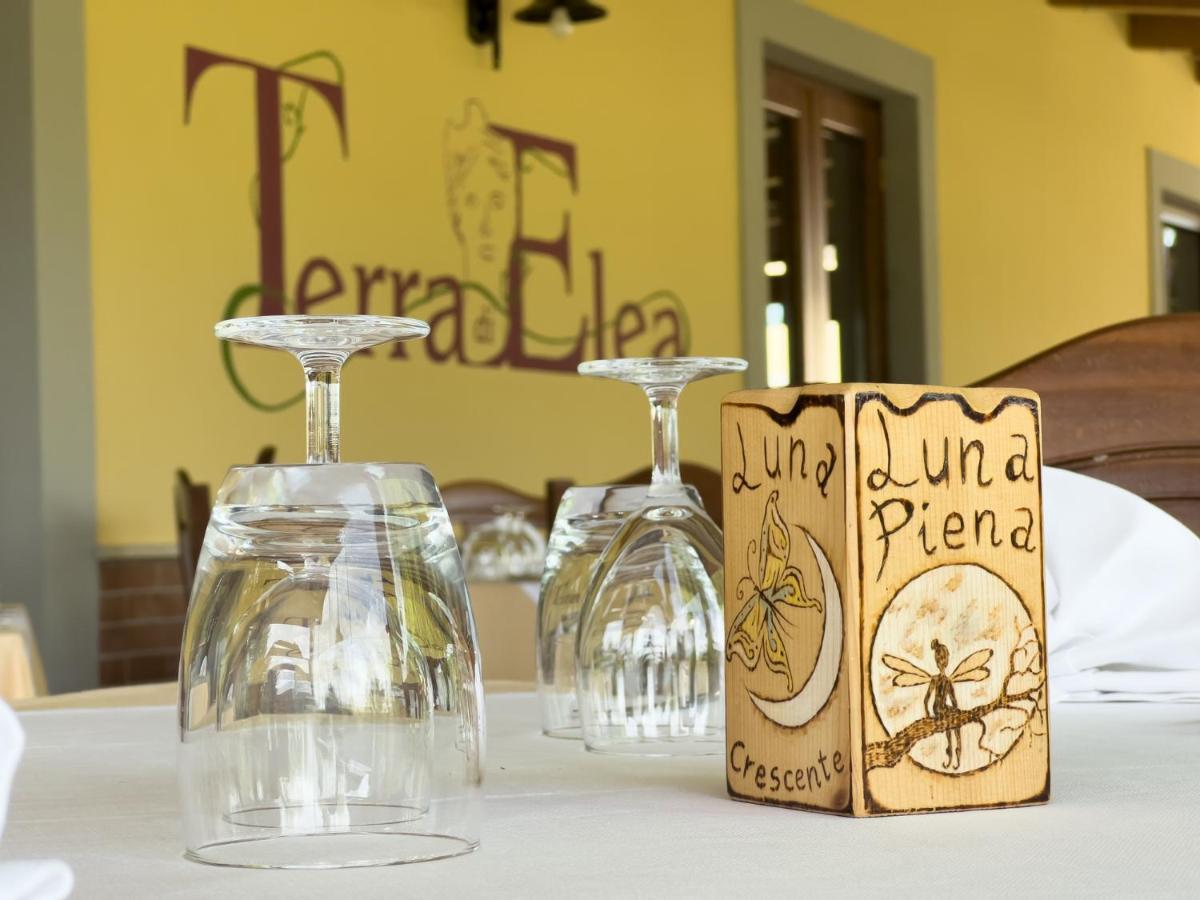Agriturismo Terra Di Elea Azienda Agricola Di Raimondo Michela Ascea Kültér fotó