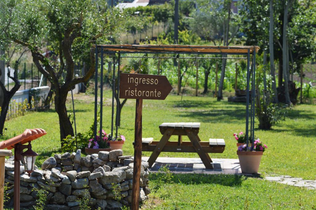 Agriturismo Terra Di Elea Azienda Agricola Di Raimondo Michela Ascea Kültér fotó
