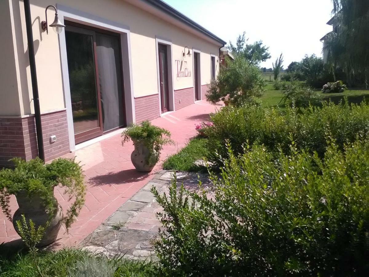 Agriturismo Terra Di Elea Azienda Agricola Di Raimondo Michela Ascea Kültér fotó