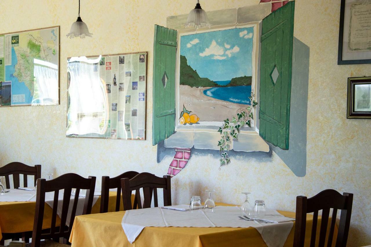 Agriturismo Terra Di Elea Azienda Agricola Di Raimondo Michela Ascea Kültér fotó